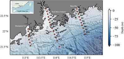 Vertical distribution of suspended particulate matter and its response to river discharge and seawater intrusion: a case study in the Pearl River Estuary during the 2020 dry season